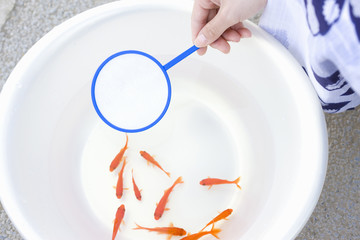 金魚すくい