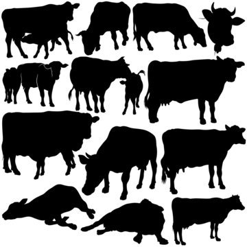 Cow Set Silhouettes 1 - black hand drawn illustration