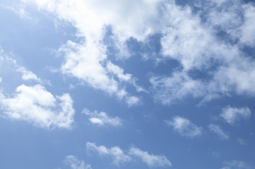 Fototapeta premium 青空