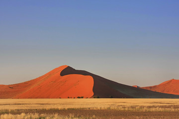 Fototapeta na wymiar Red Dunes of Namib