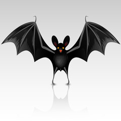 Black bat on a white background