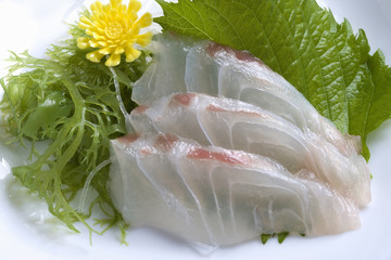 鯛