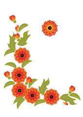 Orange flowers and leaves on a white background