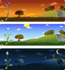 Flower and landscape