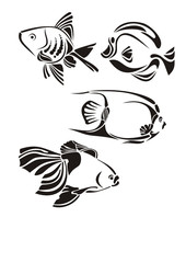 Vector fishes