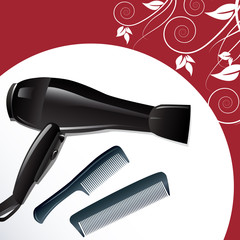 Professional hairdryer and two combs