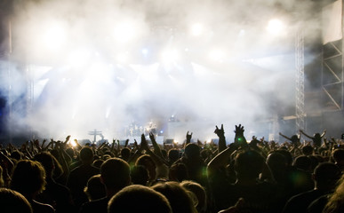 Crowd at concert