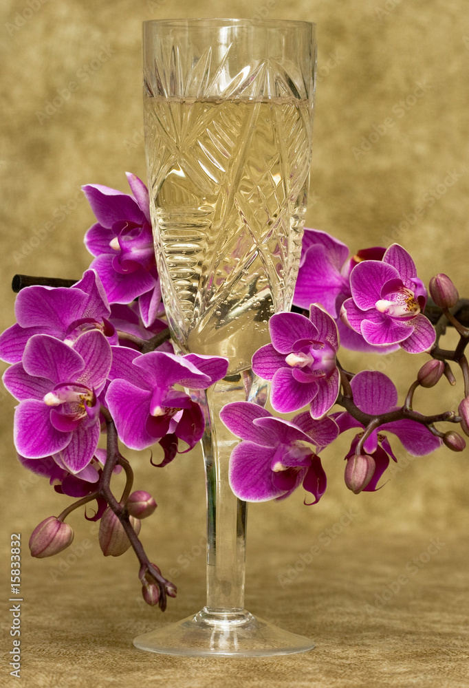 Wall mural glass with champagne and orchid