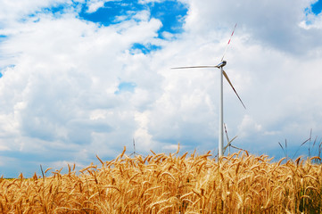 Wind turbines in a golden wheat field
