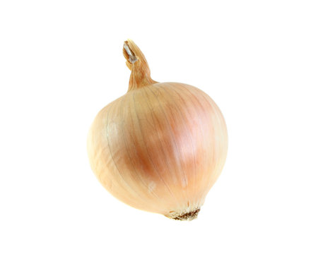 onion