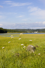 view of the sea with boats