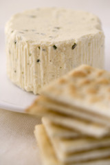 ブルサンチーズ