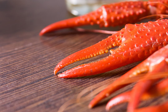 Claws of a craw-fish
