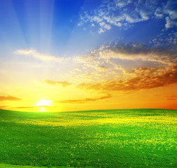 green field and beautiful sunset
