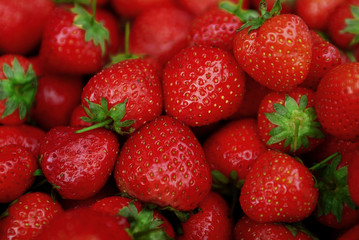 fragole