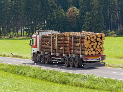 Transport von Holzst&auml;mmen auf einem Lastwagen