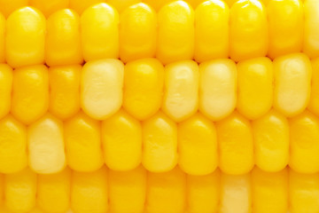 Corn background