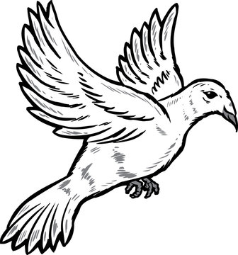 Dove in flight illustration