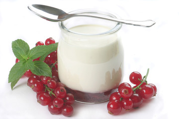Red Currant Yogurt