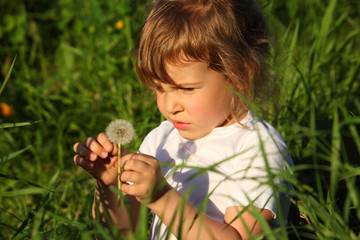 little girl sitting in grass with dandelion in hand