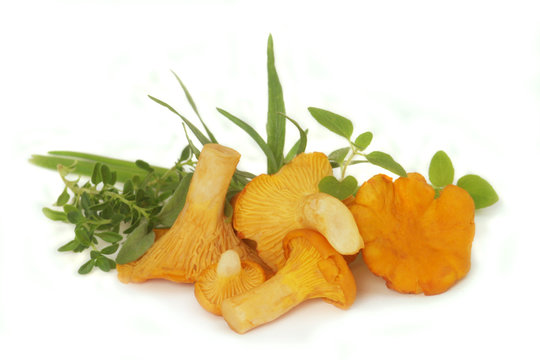 Chanterelles