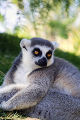 Descansando un poquito