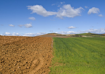 Fototapeta na wymiar Drought & Fresh Field