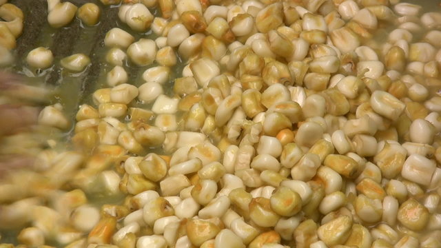 Granos de maiz