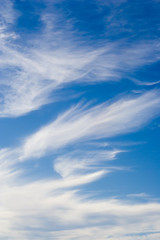 Fototapeta premium Cloudscape