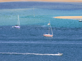 le pyla