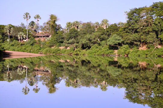 riflessi niokolo koba 02