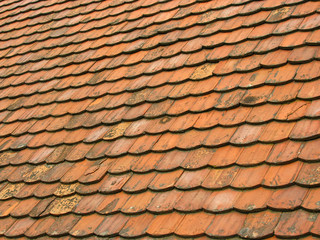 Old roof tiles 1