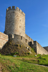 Fototapeta na wymiar Średniowieczna twierdza Kalemegdan w serbskiej stolicy Belgradzie