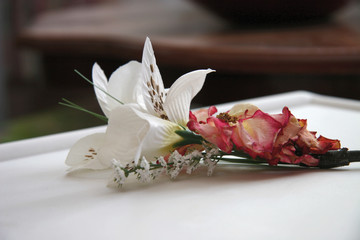 dried rose on a corsage