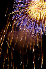 Feuerwerk am Rhein