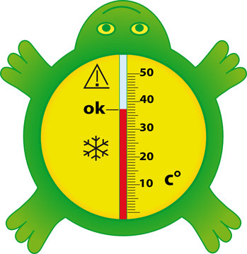 tortue thermometre de bain