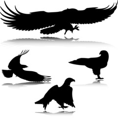 eagle in action vector silhouettes