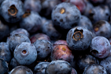 detail of many huckleberries