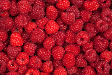 huge fresh rasperry crop