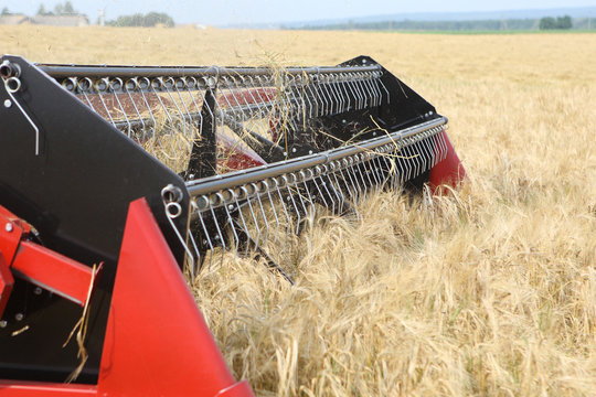 Machine harvesting