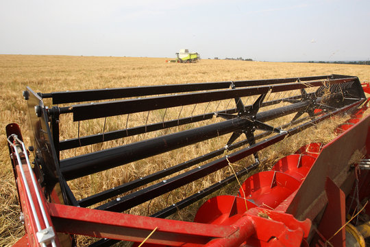 Machine harvesting