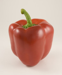 Perfect red pepper
