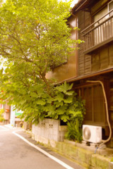 路地