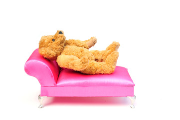 Bear in therapy