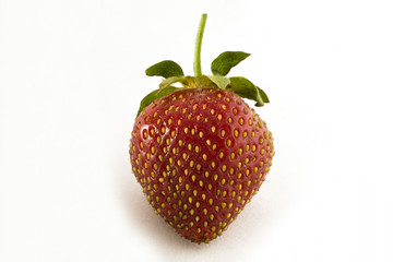 Strawberry set against a white background