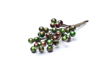 Branch of green shiny berries