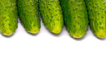Fresh cucumbers on studio white
