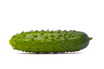 Fresh cucumber on studio white