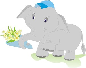 elephant