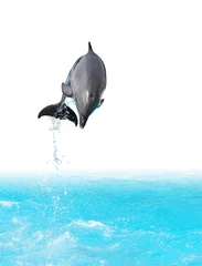  springende dolfijn © cosma